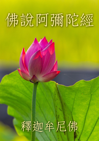 불설아미타경
