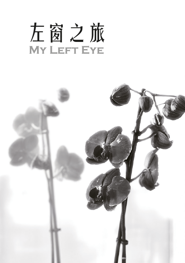 左窗之旅 My Left Eye