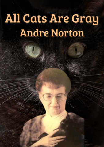 Todos los gatos son grises
